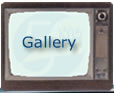 A gallery of images and video.