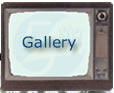 A gallery of images and video.