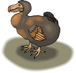 Dodo Bird