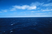 Ocean
