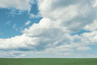 Prairie