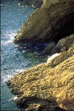 Shore