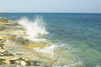 Intertidal Zone