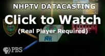 Click to Watch (Requires Real Player)