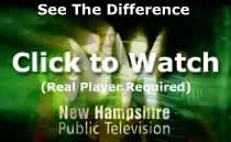 Click to Watch (Requires Real Player)