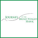 Journey of the Broadwinged Hawk