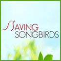 Saving Songbirds