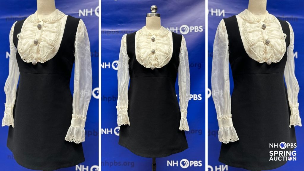nhpbs announces comedian/actress sarah silverman’s donated dress for spring auction