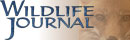 Wildlife Journal