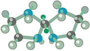 Molecule