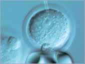Rediscovering Biology