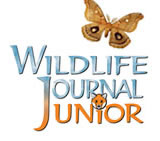 Wildlife Journal Junior