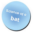 bat