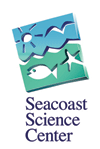 seacoast