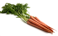 carrot