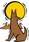 coyote