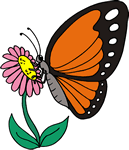 monarch