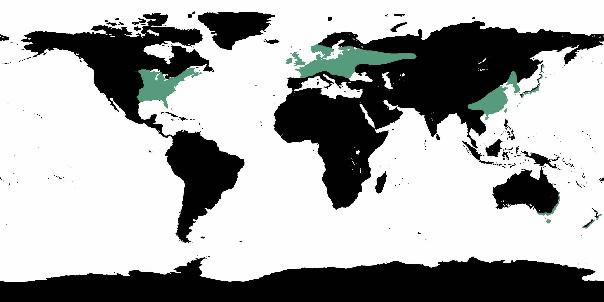 The green indicates where the temperate deciduous forest can be found.