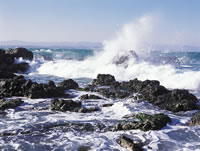 High Tide Zone