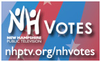 NH VOTES 2010