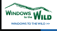 Windows to the Wild