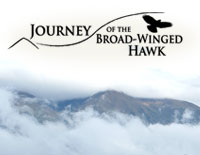 Journey of the Broad-Winged Hawk