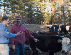 Host Bob Wilson meets cow