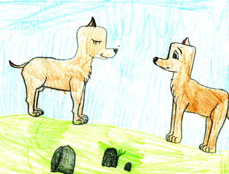Animal Tails