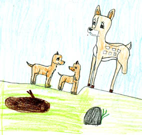 Animal Tails