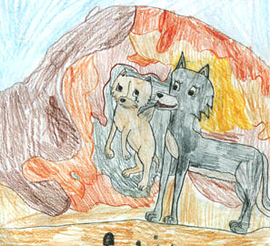 Animal Tails