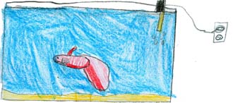 One Day in the Aquarium of Mysteries