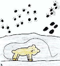 The Bear Who Wouldn't Hibernate
