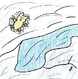 The Bear Who Wouldn't Hibernate