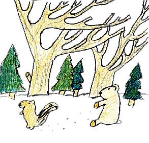 The Bear Who Wouldn't Hibernate