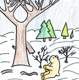 The Bear Who Wouldn't Hibernate