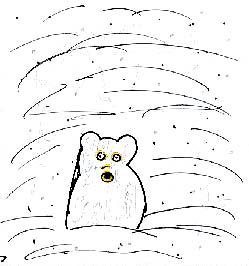 The Bear Who Wouldn't Hibernate