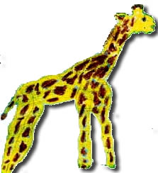 A Giraffe's Life