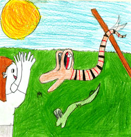Invisible Animals
