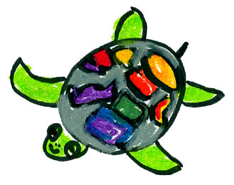 The Mosaic Turtle