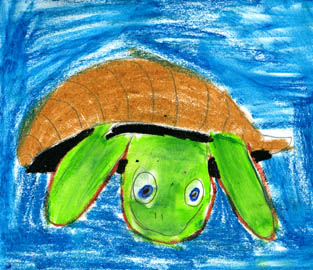 The Mosaic Turtle