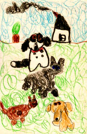 Panda the Dog
