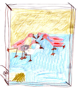 Bianco the White Flamingo