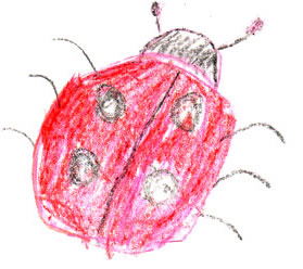 How the Lady Bug Got Its Spots
