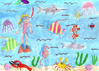 The Dream Butterflies