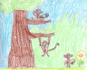 Let's Look at Jungle Animals