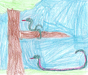 Let's Look at Jungle Animals