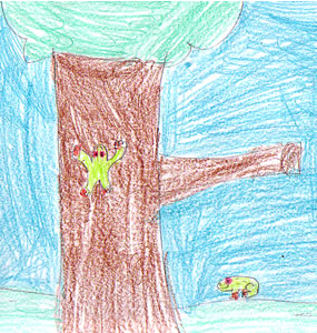 Let's Look at Jungle Animals