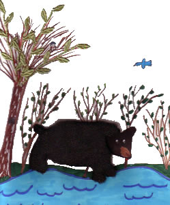 The Not So Wild Bear