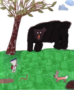 The Not So Wild Bear