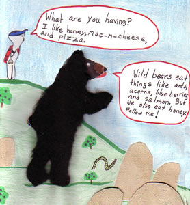 The Not So Wild Bear